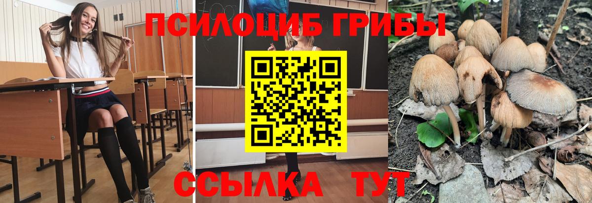 Галлюциногенные грибы мицелий  Псилоцибиновые грибы Psilocybine cubensis  Заречный  Вход с VPN 